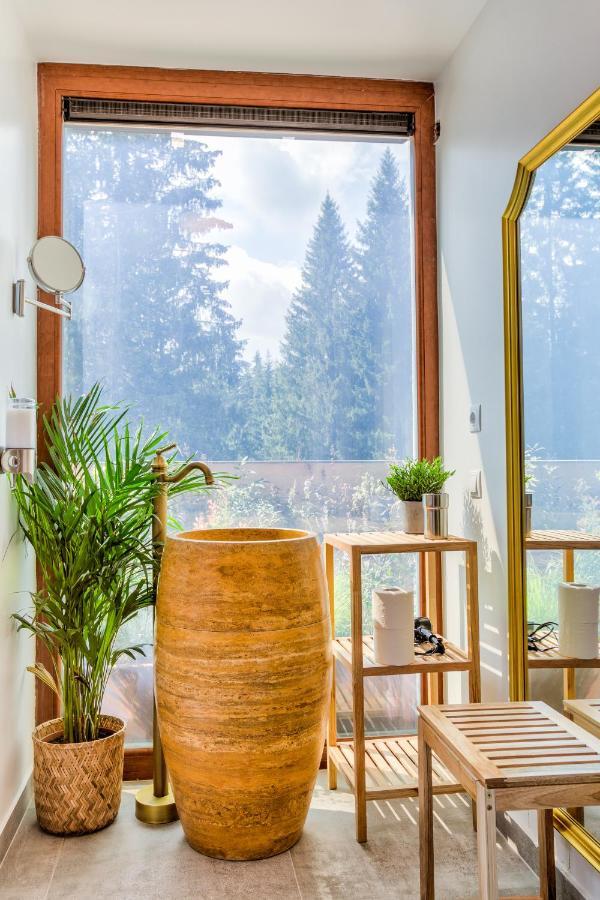 Splendor 3 Bedroom Flat In Silver Mountain 波亚纳布拉索夫 外观 照片